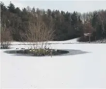  ??  ?? The frozen pond at James Steel Park.