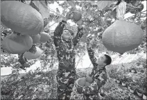  ?? ZHAO YANZHI / FOR CHINA DAILY ?? Soldiers assigned to a logistics department at an armed police base in Lhasa harvest pumpkins in 2006. The base planted 21 varieties of vegetables in the city.