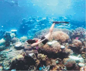  ?? Picture: BRENDAN RADKE ?? IRREPLACEA­BLE billion. ASSET: A new report has valued the Great Barrier Reef at $56