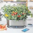  ?? AeroGarden via AP ?? High-tech growing systems like the AeroGarden Bounty Elite are bringing the joy of gardening even to those without light, know-how or outdoor space.