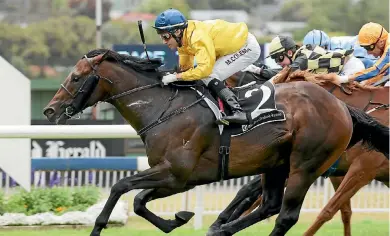  ??  ?? Michael Coleman will ride Savile Row in Saturday’s New Zealand Derby.