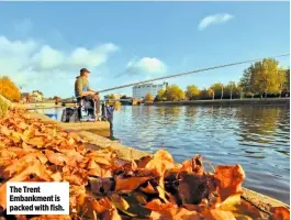  ??  ?? The Trent Embankment is packed with fish.