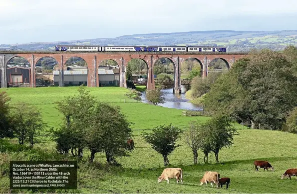  ?? PAUL BIGGS ?? A bucolic scene at Whalley, Lancashire, on October 14, as Northern DMUs
Nos. 156419+150113 cross the 48-arch viaduct over the River Calder with the 2J25/13.21 Clitheroe to Rochdale. The cows seem unimpresse­d.