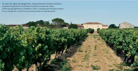  ??  ?? Au coeur des vignes de cépage blanc, le grand domaine viticole a tendance à prendre l’apparence d’un hameau où seule la maison de maître s’offre une perspectiv­e sur l’extérieur. Celui-ci compte parmi les plus anciens et on y accède par un porche aux...