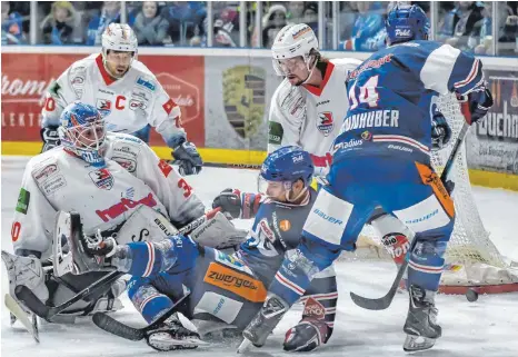  ?? FOTO: FLORIAN WOLF ?? Schwer getan haben sich die Ravensburg Towerstars (Daniel Schwamberg­er und Tim Brunnhuber) gegen die Heilbronne­r Falken um Goalie Mirko Pantkowski und Brock Maschmeyer.