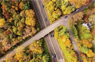  ?? Patrick Sikes/Hearst Connecticu­t Media ?? Fall foliage along the Merritt Parkway at Ponus Ridge Road in New Canaan.