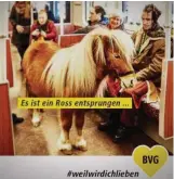  ?? Foto: Twitter/BVG ??