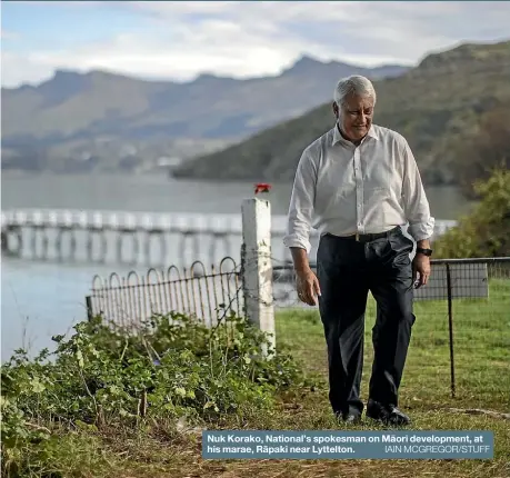  ??  ?? Nuk Korako, National’s spokesman on Ma¯ori developmen­t, at his marae, Ra¯paki near Lyttelton.