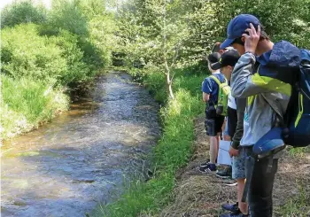  ?? SUSANNE MOHR. ?? Erster Eindruck von der Weißen Elster im Oberlauf in Bad Elster. Schüler der Klasse 6 der Regelschul­e Bad Köstritz.