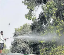  ?? VIPIN KUMAR/HT PHOTO ?? An NDMC worker sprinkles water on trees on Mansingh Road as part of the Grap implementa­tion. On Wednesday, the air quality stood at 313. The AQI on Tuesday was 291.