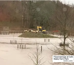  ?? MARK LEWIS ?? Flood damage at Cefn Mably Farm Park