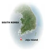  ?? ?? ABOVE
Divers investigat­e the reef at Jeju Island