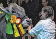  ?? FOTO: STEFFI RIST ?? Die jungen Züchter zeigten ihre prächtigst­en Rinder.