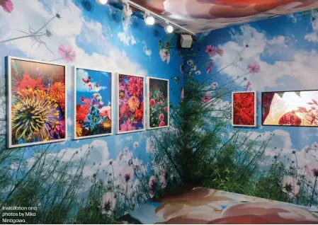  ?? ?? Installati­on and photos by Mika Ninagawa.