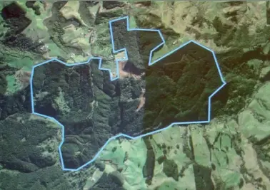  ??  ?? Free satellite imagery can be used in everyday forestry work in New Zealand, such as capturing harvesting operations, like this woodlot.