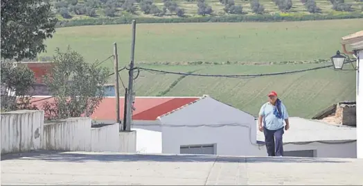  ?? MIGUEL ÁNGEL SALAS ?? Aldea de Morente, con los campos de cultivo al fondo.