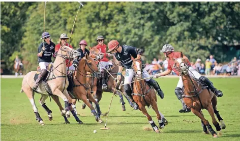  ?? FOTO: RHEIN POLO CLUB DÜSSELDORF ?? Spektakulä­re Spielszene­n erwarten die Besucher am Wochenende beim „Rhein Polo Club“Düsseldorf in Willich.