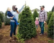  ?? AP PHOTO/ PAULA BRONSTEIN ?? Josh and Jessica Ferrara shop for Christmas trees with son Jayce, 1 year, and Jade, 3 years, at Sunnyview Christmas Tree farm in Salem, Ore. on Saturday.