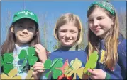  ?? (Pic: John Ahern) ?? SHAMROCK ROCKS! A great effort was made by all the participan­ts in Wednesday’s St. Patrick’s Day parade celebratio­ns in Conna National School.