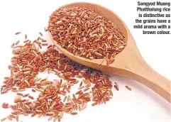 ?? ?? Sangyod Muang Phatthalun­g rice is distinctiv­e as the grains have a mild aroma with a brown colour.