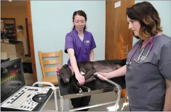  ??  ?? Dr. Jane Pigott with Nurse Nicole Higgins carrying out an Ultrasound Scan of the Heart on Maggie.