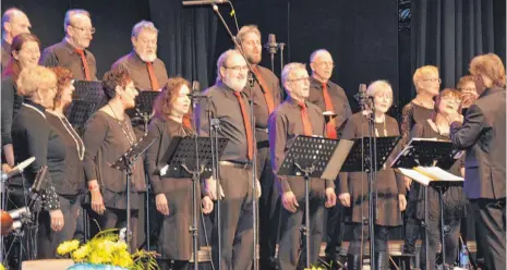  ?? FOTO: STEFAN MANGER ?? Ein gelungenes Konzert gab Salto Vocale des Gesangvere­ins Möhringen unter der musikalisc­hen Leitung von Eberhard Graf beim Konzert am Sonntag in der Angerhalle.