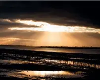  ??  ?? Right: River Blackwater, Essex (photo: Shaun Reynolds-Darwood)