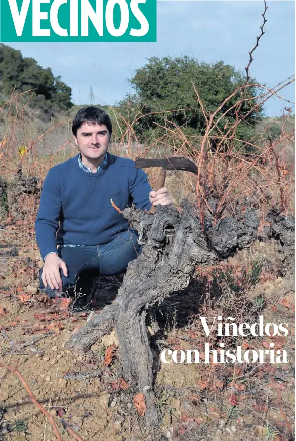  ??  ?? Julián Palacios posa con una podadera antigua en un viñedo de Bodegas Máximo Abete, situado en San Martín de Unx.