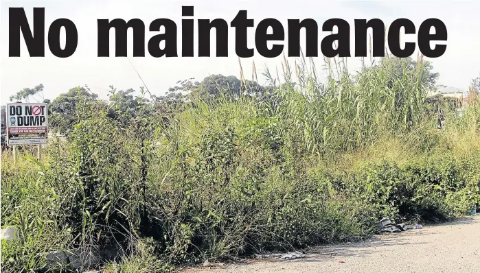  ?? Picture: RYAN STERLING ?? OVERGROWN DEN FOR THIEVES: A park in Maxwell Street, Buffalo Flats has become so overgrown residents in the street say children fear to play there. The play park is situated next to Tomorrowla­nd Pre-Primary School