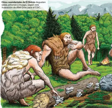  ??  ?? Cinco neandertal­es de El Sidrón degustan setas, piñones y musgo, según esta ilustració­n de Abel Grau para el CSIC.