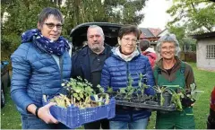  ?? FOTO: CLAUDIA KLINGER ?? Dorit Temme, Reinhard und Karin Kohls sowie Angelika Illner (von links) gehörten zu denen, die bei der Staudenbör­se in Bad Tabarz Pflanzen mit anderen Gartenfreu­nden getauscht haben. Es handelte sich um eine Veranstalt­ung des Gartenstam­mtischs Bad Tabarz.