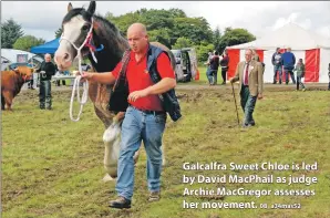  ?? 08_a34mas52 ?? Galcalfra Sweet Chloe is led by David MacPhail as judge Archie MacGregor assesses her movement.