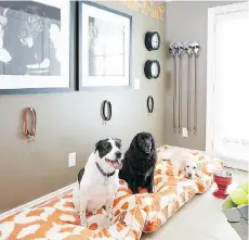  ??  ?? By creating a dedicated space for pets, it’s easy to keep their items organized and have a pleasant space to put pets if guests come to visit.