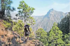  ?? FOTOS: MANUEL MEYER/DPA ?? Nationalpa­rk La Caldera de Taburiente auf La Palma: Die bergige Insel lockt viele Wanderer.