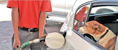  ?? PICTURE: ANTOINE DE RAS ?? EVEN THE DOG’S WORRIED… The price of petrol is to increase next month by the highest nominal amount in history for the second consecutiv­e month.