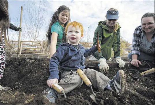  ?? Richard Brian Las Vegas Review-Journal @vegasphoto­graph ?? Wyatt Floyd holds up a carrot Saturday that was dug up in a garden bed at a volunteeri­ng event at the San Miguel Community Garden, 3939 Bradley Road.