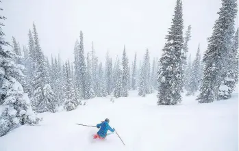  ?? REUBEN KRABBE/DESTINATIO­N B.C. ?? Sun Peaks Resort has three different mountains to explore.