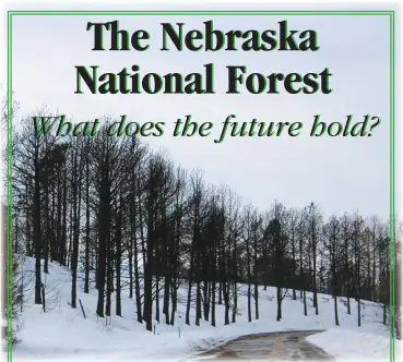  ?? BY MONA WEATHERLY Managing Editor Linda Teahon ?? Burned trees stand stark and black against winter snow after the Bovee Fire at the Nebraska National Forest last October. The future of the forest will be a topic of discussion at the SJNSB Conference Jan. 21 in Broken Bow.