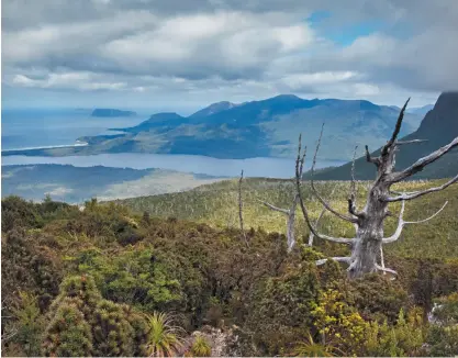  ??  ?? Clockwise from opposite page, Tasmanian photograph­er Richard Bennett has just released his
new book From Cape to Cape – Tasmania’s South Coast Track; thick scrub near Mt Wylly in the Southern Ranges; Bennett while walking the South Coast Track in...