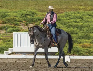  ??  ?? Dressage is the first phase of a working equitation event. Entries execute a set pattern; judging criteria include the rider’s horsemansh­ip and the horse’s balance, impulsion, and willingnes­s.