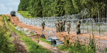  ?? Foto: Attila Husejnow, dpa ?? Polnische Soldaten errichten einen Stacheldra­htzaun entlang der polnisch‰belarussis­chen Grenze.