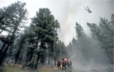  ?? DARRYL DYCK/THE CANADIAN PRESS ?? A helicopter drops water outside a fire guard line as B.C. Wildfire Service firefighte­rs conduct a controlled burn to help prevent the Finlay Creek wildfire from spreading near Peachland, B.C., on Sept. 7. Climate change didn’t directly cause major...