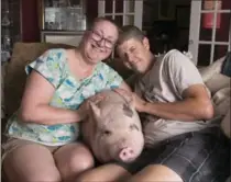  ?? HAMILTON SPECTATOR FILE PHOTO ?? Diane Hines and Jay House with their pet pig Sheldon in their Hamilton home. Sheldon will be allowed to stay with its adopted family.