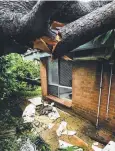  ??  ?? AFTERMATH: A tree demolished this house in Karama following Cyclone Marcus's wrath over Darwin.