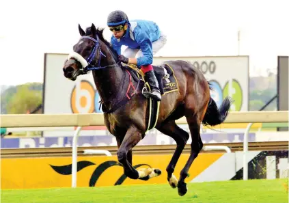  ?? Picture JC Photograph­ics ?? STAR PERFORMER. Hawwaam is unbeaten in two races and is among the entries for the Grade 1 Cape Guineas over 1600m at Kenilworth on 15 December.