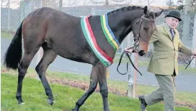  ??  ?? > Tigbourne, the Supreme Horse Champion of show with Tony Warham