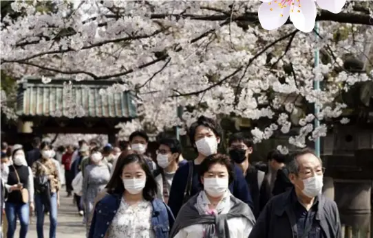  ?? FOTO EPAEFE ?? Ondanks de coronamaat­regelen flaneren Japanners massaal in parken tijdens de hanami, of ‘kersenscho­uw’.