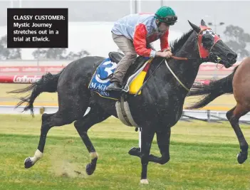  ??  ?? CLASSY CUSTOMER: Mystic Journey stretches out in a trial at Elwick.