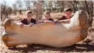  ??  ?? Students pose for photos with a replica of femur from the Australoti­tan cooperensi­s in Eromanga, Queensland, Australia