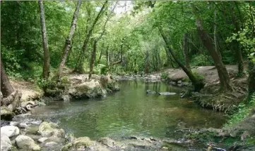  ?? (Photos J.-M.P.) ?? Les promeneurs vont pouvoir réinvestir le long de la Brague pour des balades bucoliques.